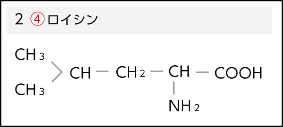 ロイシン