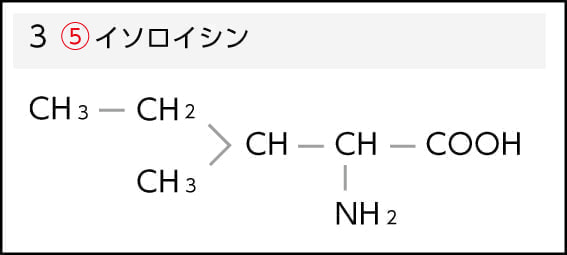 イソロイシン